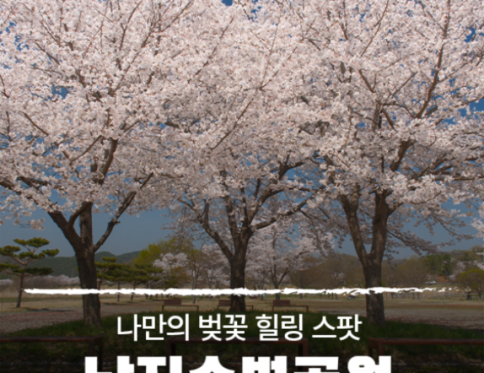 Discovering the Cherry Blossom Spot at Namji Waterfront Park float