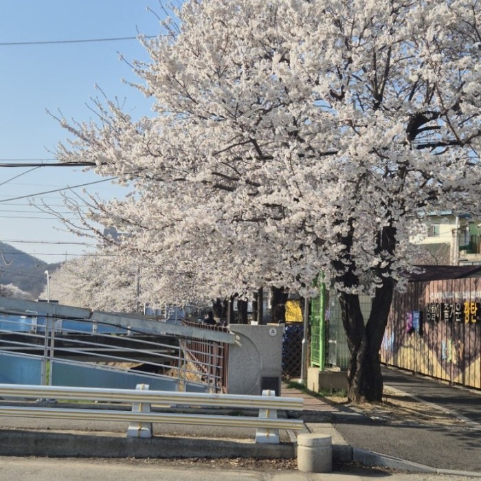 Discovering a Great Restaurant Near North Farm Songchu CC2096