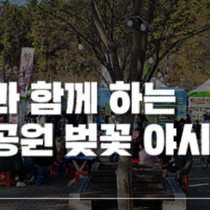 Cherry Blossom Attractions in Jeonbuk: Gunsan Eunpa Lake Park1633