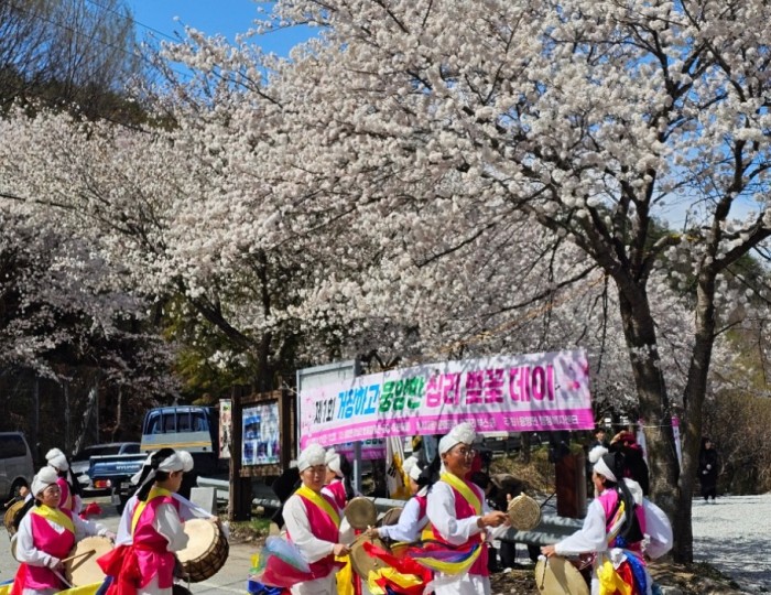 Gochang's Grand Cherry Blossom Festival float
