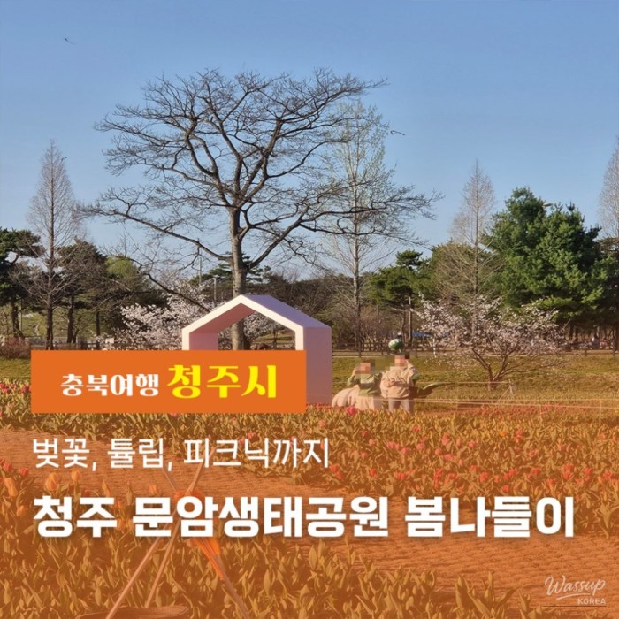 A Spring Day at Munam Ecological Park3251