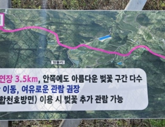 Blooming Cherry Blossoms in Imbul Village float