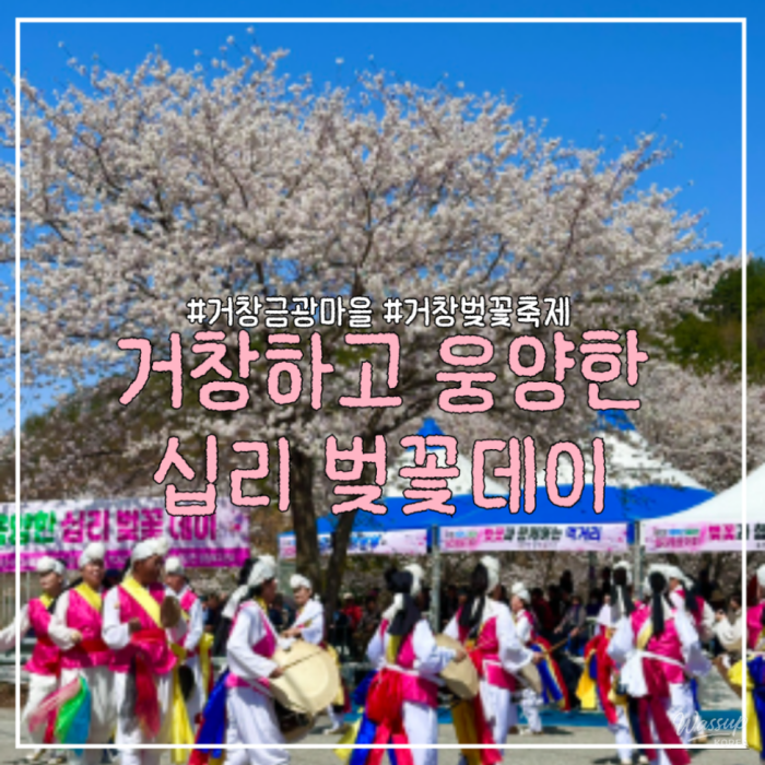 Gochang and Ungyang's Cherry Blossom Festival3255