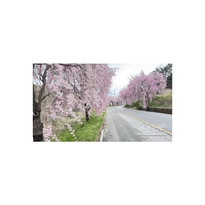 Visiting the Geochang Incident Memorial Park3254