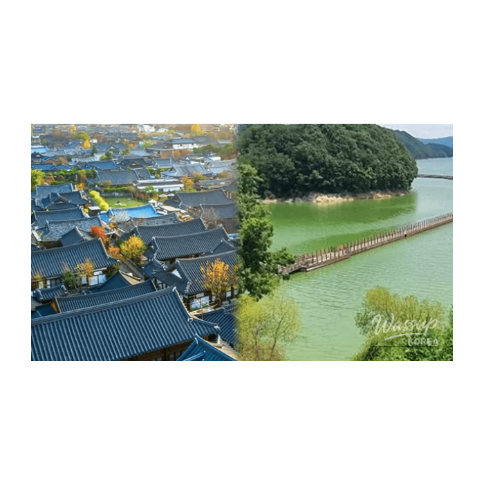 Top 4 Solo Travel Destinations in Korea for April3257