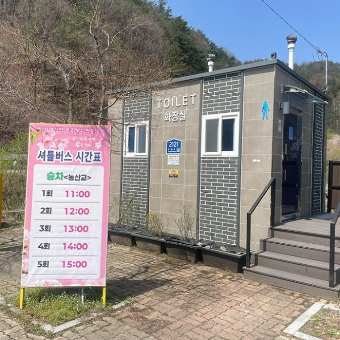 A Spring Day in Byeonggok Cherry Blossom Path3259