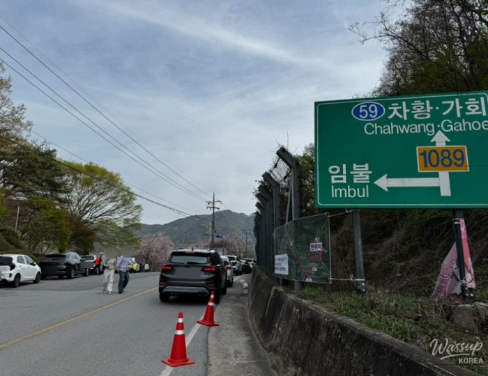 Exploring the Beautiful Cherry Blossoms in Imbul Village float
