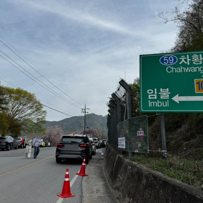 Exploring the Beautiful Cherry Blossoms in Imbul Village3264