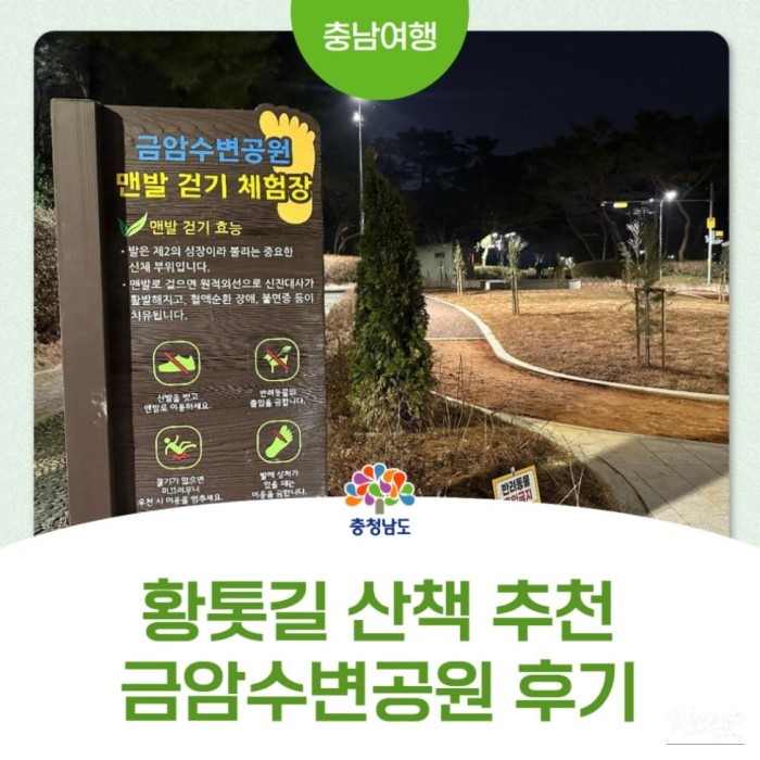 The Enchanting Night at Geumam Waterfront Park3268