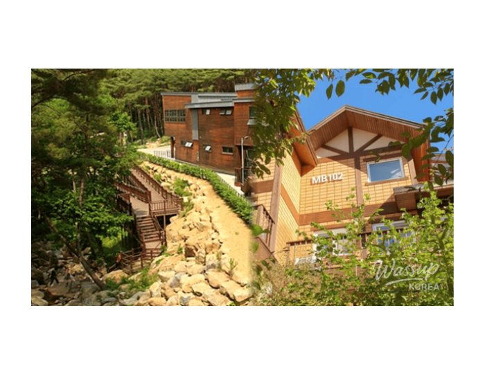 Top 4 Spring Wellness Destinations for a Refreshing Getaway float