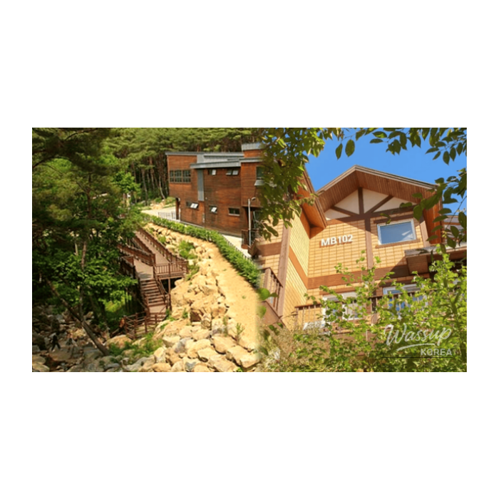 Top 4 Spring Wellness Destinations for a Refreshing Getaway3269