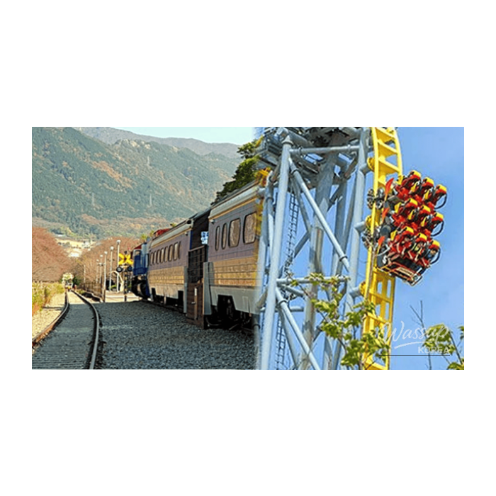 Discovering the Best Spring Spots in Changwon3272