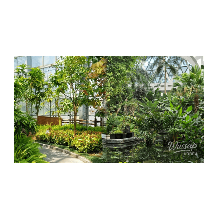Top 4 Botanical Gardens to Visit in April3277