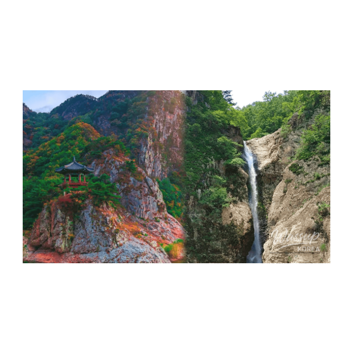 Exploring the Hidden Gems of Yeongdong in Spring3286