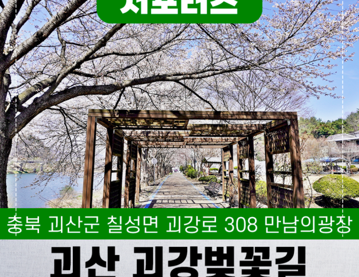 Exploring the Beautiful Cherry Blossom Trail in Goesan float