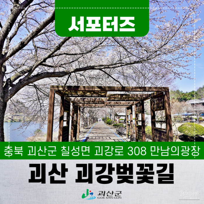 Exploring the Beautiful Cherry Blossom Trail in Goesan3293