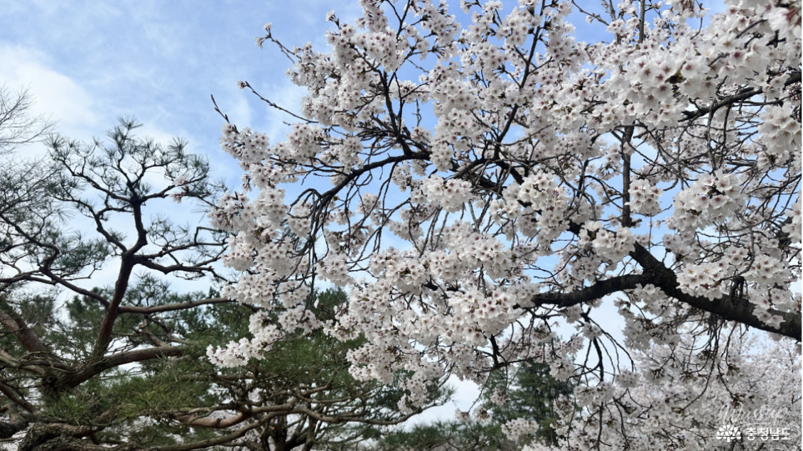 A Tranquil Visit to the Gudrae Sculpture Park in Buyeo_11