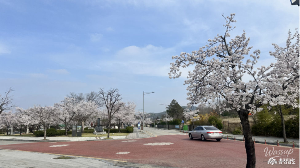 A Tranquil Visit to the Gudrae Sculpture Park in Buyeo_06