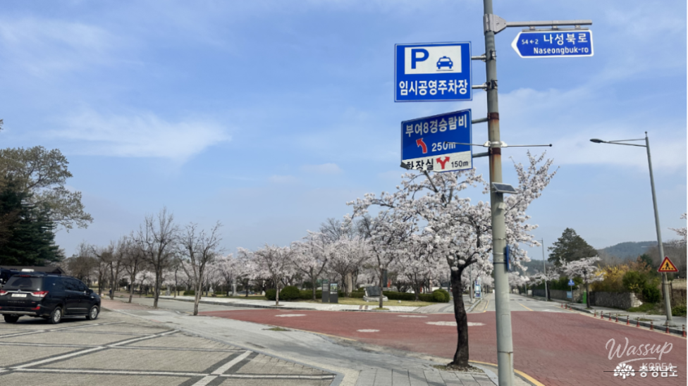 A Tranquil Visit to the Gudrae Sculpture Park in Buyeo_05