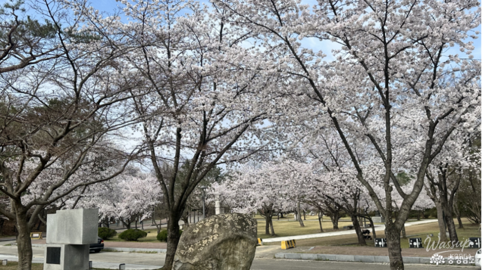 A Tranquil Visit to the Gudrae Sculpture Park in Buyeo_09