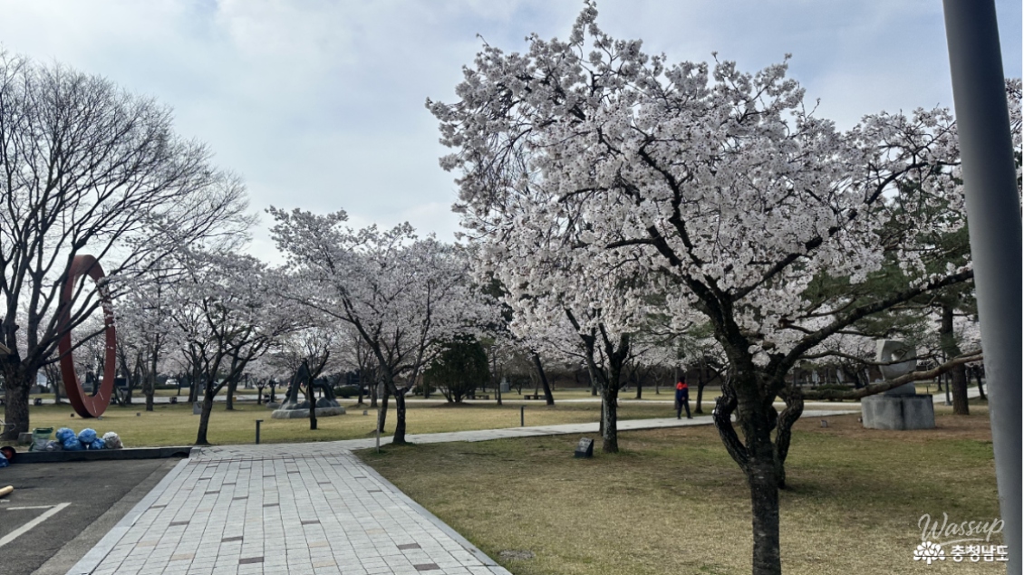 A Tranquil Visit to the Gudrae Sculpture Park in Buyeo_12