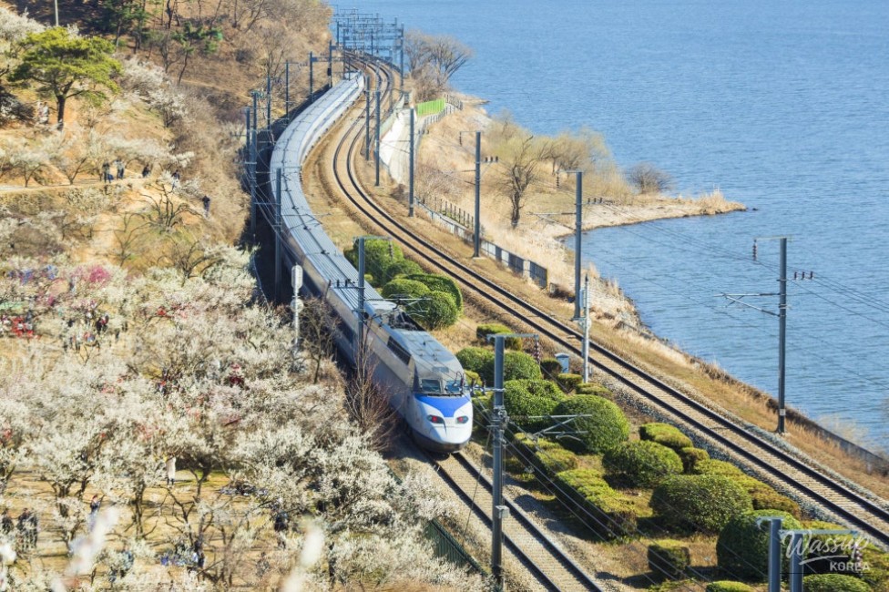 Support for Travel in Rural Areas_03