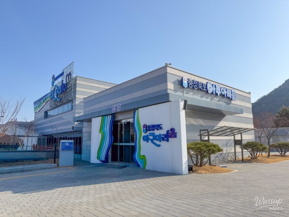 Discovering the Beauty of Freshwater Fish: Chungbuk Aquarium in Goesan_02