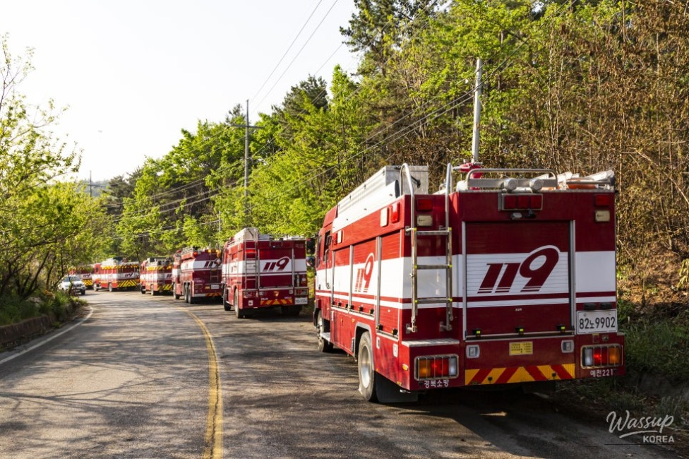 Protecting Nature Through Small Habits_04