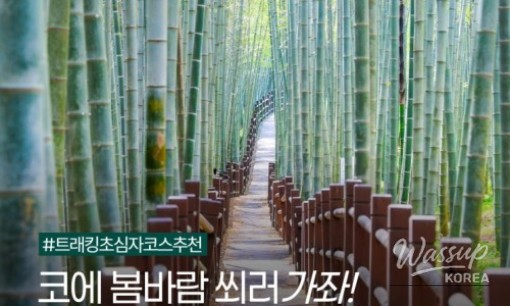 Explore Jinju at the Harmo Night Mission Tour_05