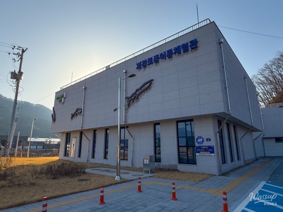 Exploring the Goeun Smart Aquarium_02