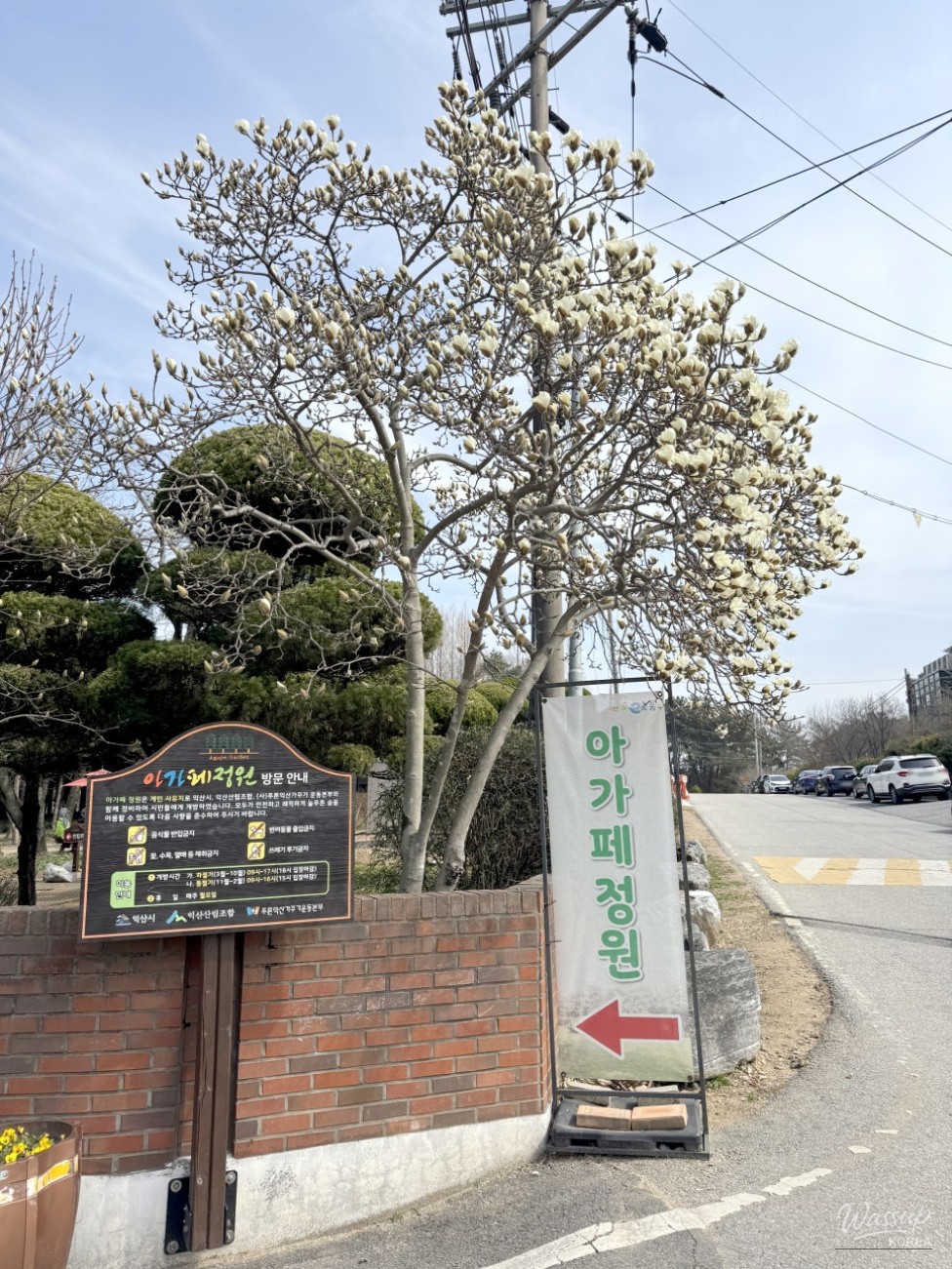 Exploring Iksan: Must-Visit Places_03