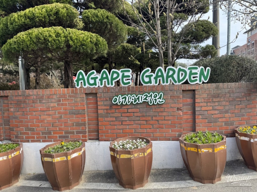 Exploring Iksan: Must-Visit Places_04