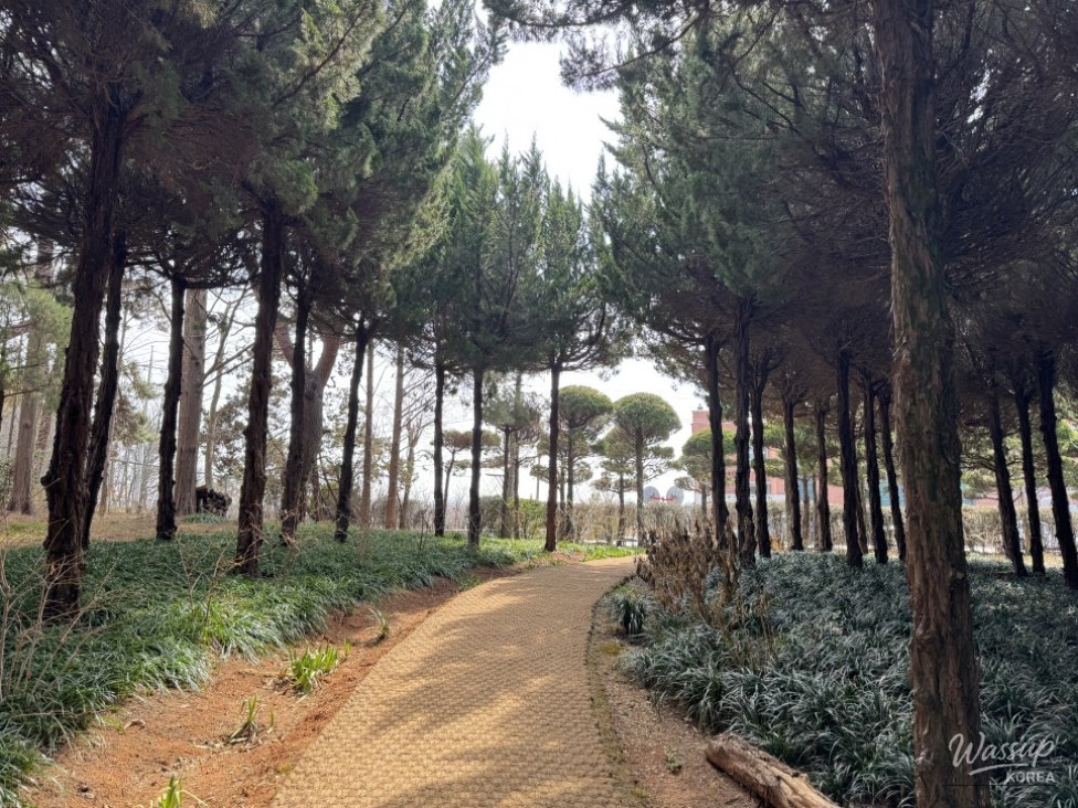 Exploring Iksan: Must-Visit Places_05