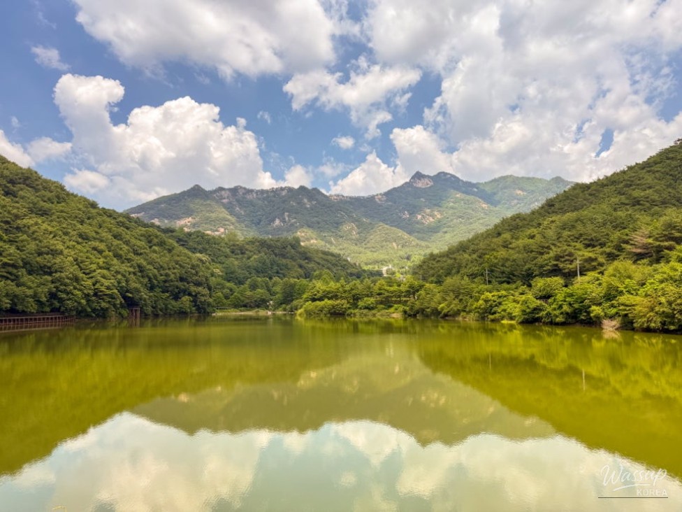 A Culinary Journey in Goesan_02