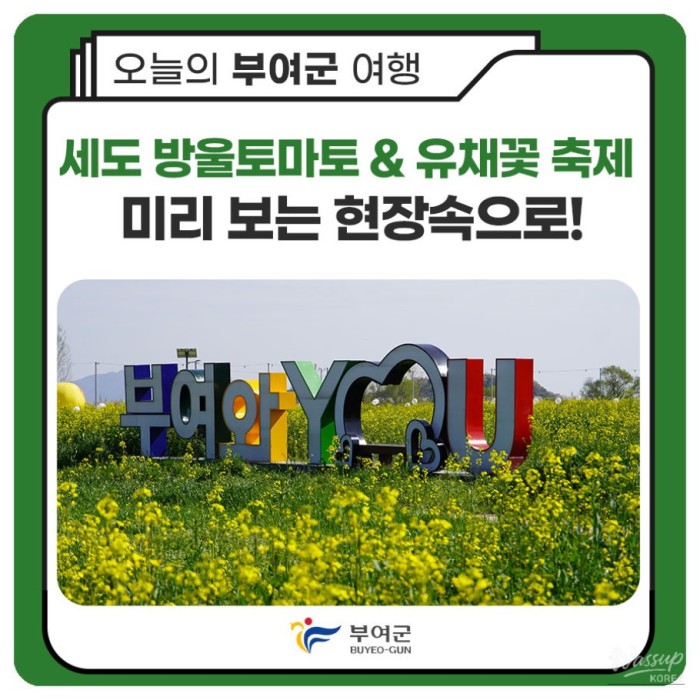 Preview of the Buyeo Sedo Cherry Tomato & Canola Flower Festival3300