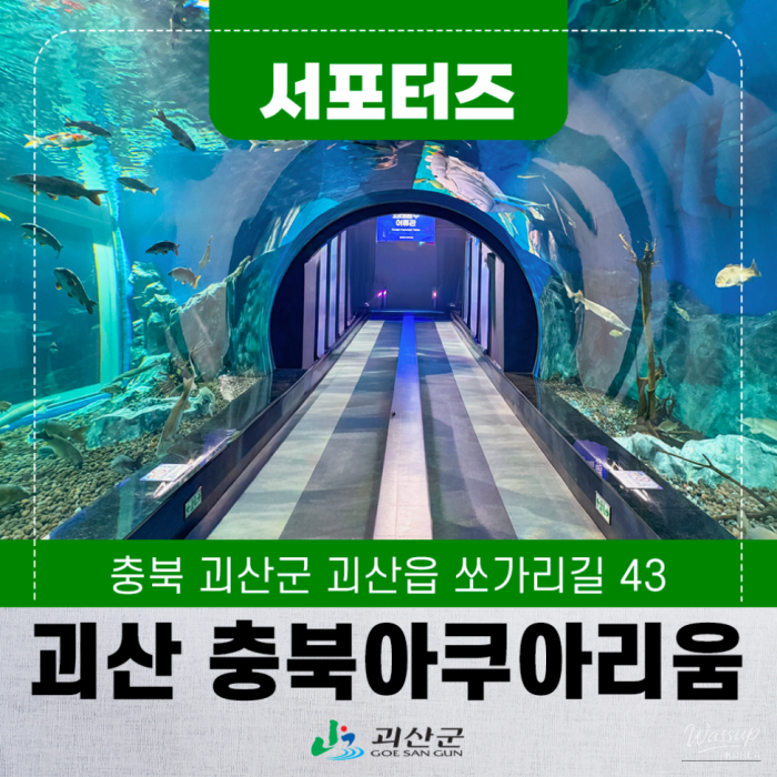 Discovering the Beauty of Freshwater Fish: Chungbuk Aquarium in Goesan3297