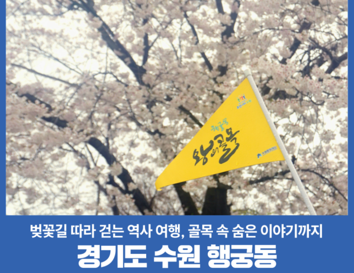 A Historical Journey Along the Cherry Blossom Path float