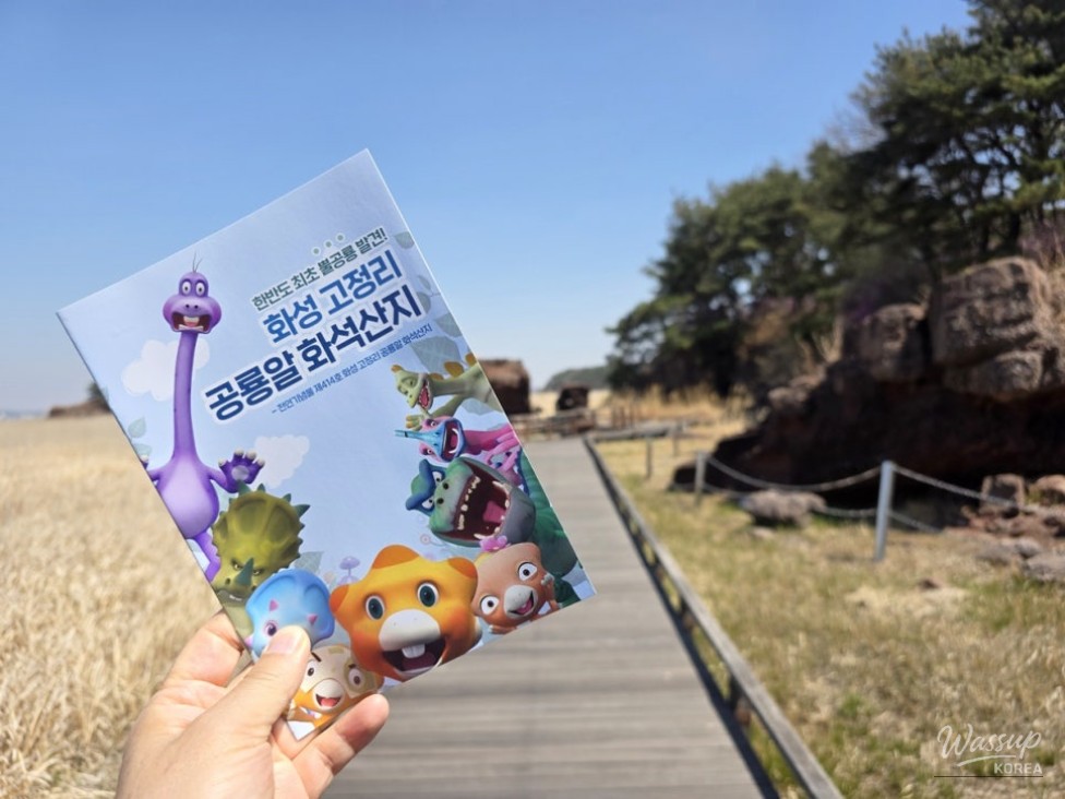 Exploring the Wonders of the Hwaseong Dinosaur Egg Fossil Site_02