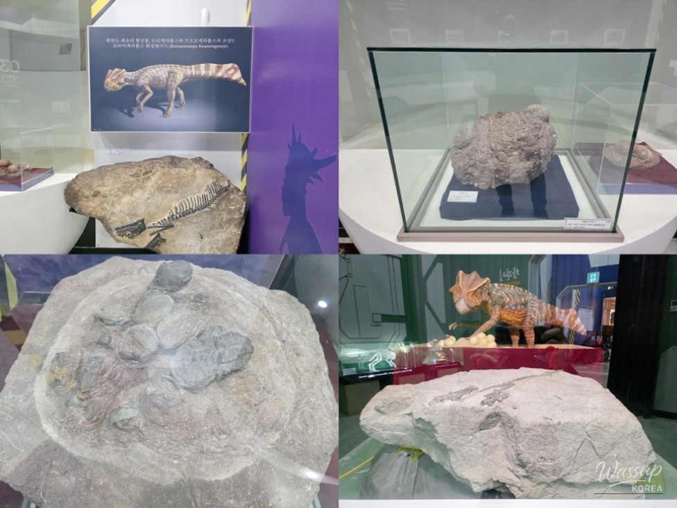 Exploring the Wonders of the Hwaseong Dinosaur Egg Fossil Site_04