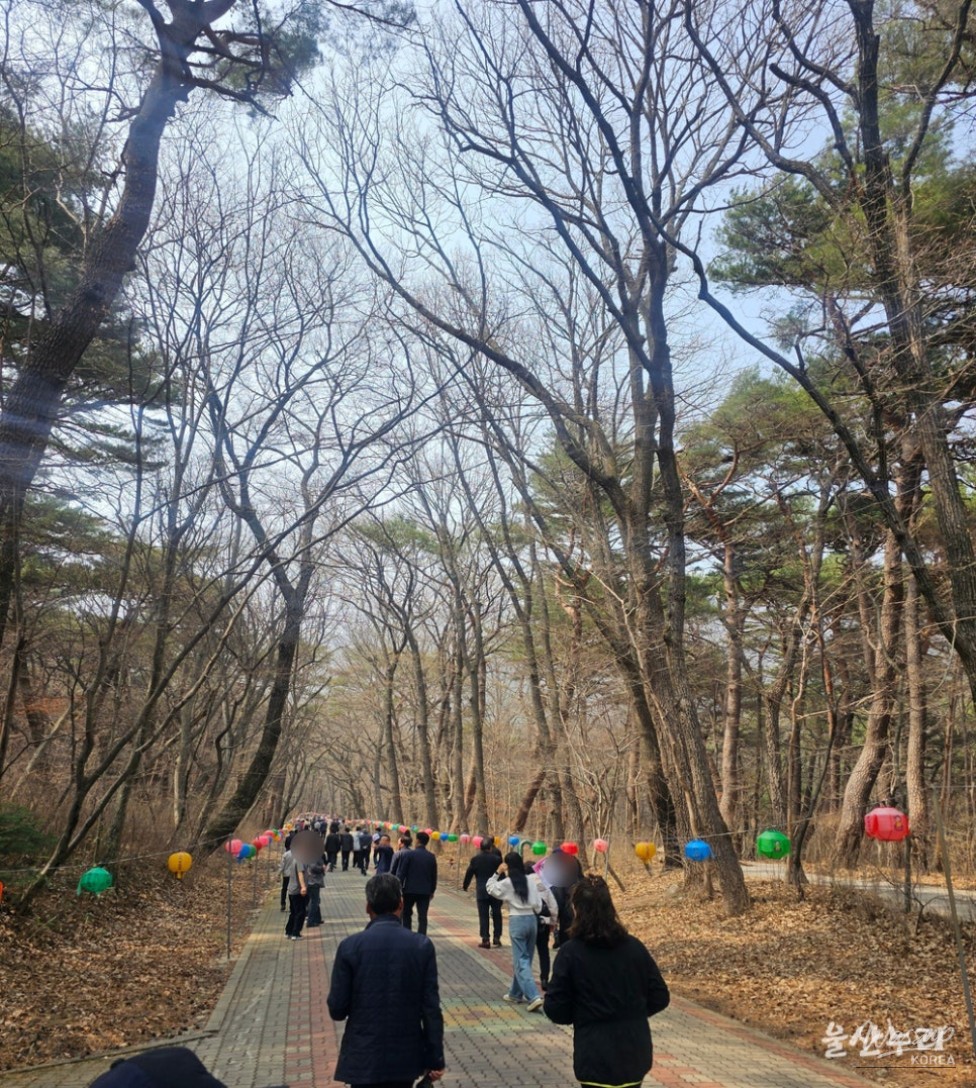 Discovering the Tranquility of Seongnam Temple in Ulsan_04