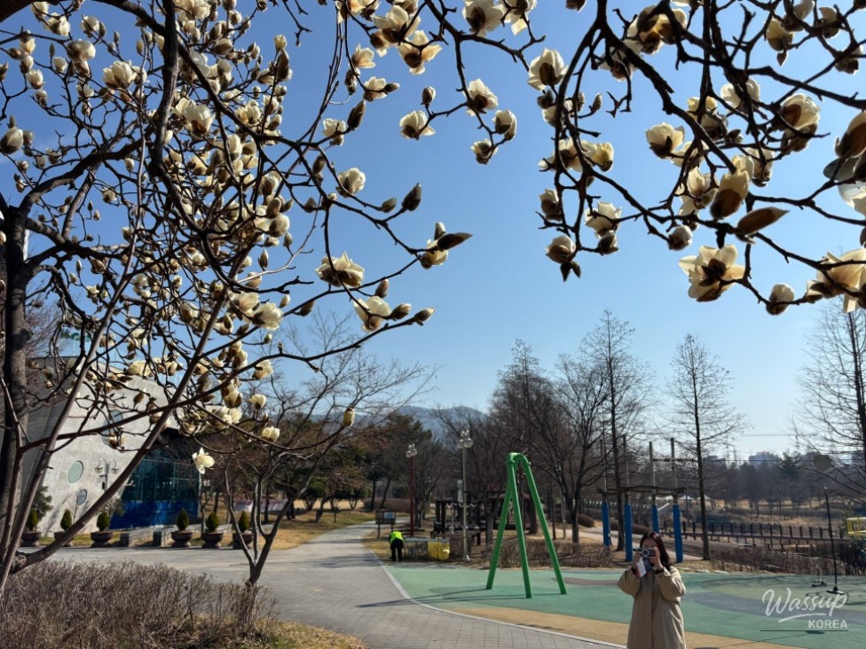 A Charming Day at Dunsan Park in Wanju Bongdong_02