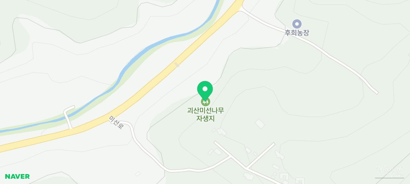 Exploring the Natural Beauty of Goesan: The Native Habitat of the Mison Tree_14