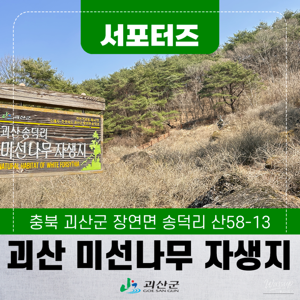 Exploring the Natural Beauty of Goesan: The Native Habitat of the Mison Tree_01