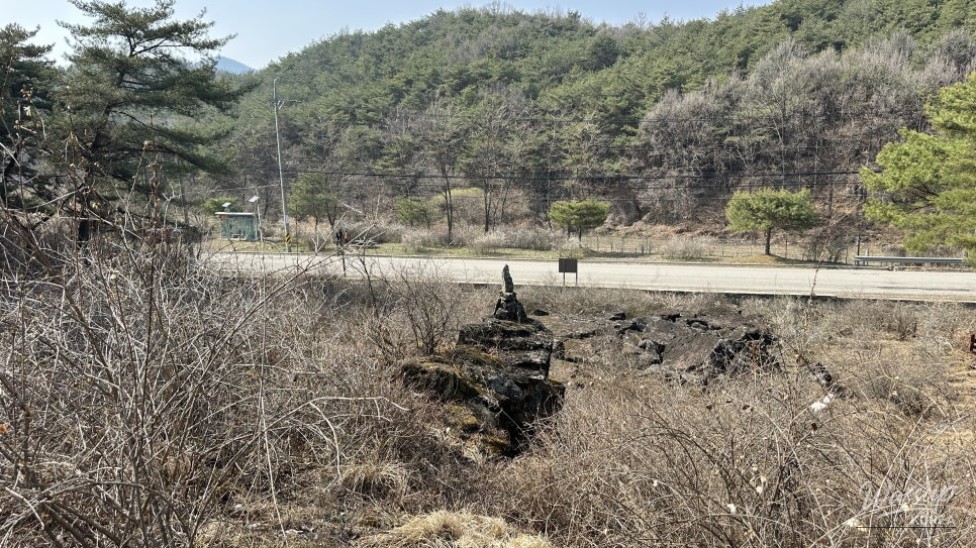 Exploring the Natural Beauty of Goesan: The Native Habitat of the Mison Tree_08