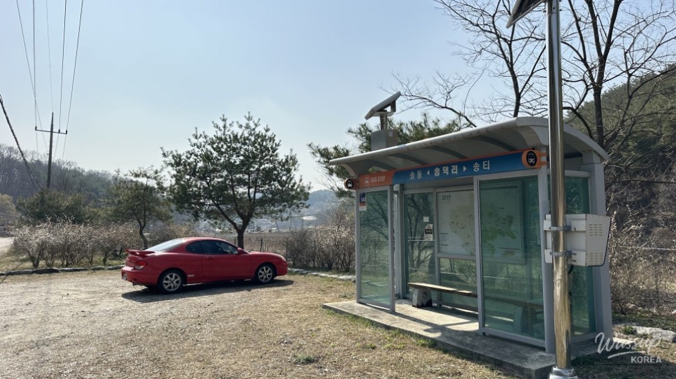 Exploring the Natural Beauty of Goesan: The Native Habitat of the Mison Tree_03