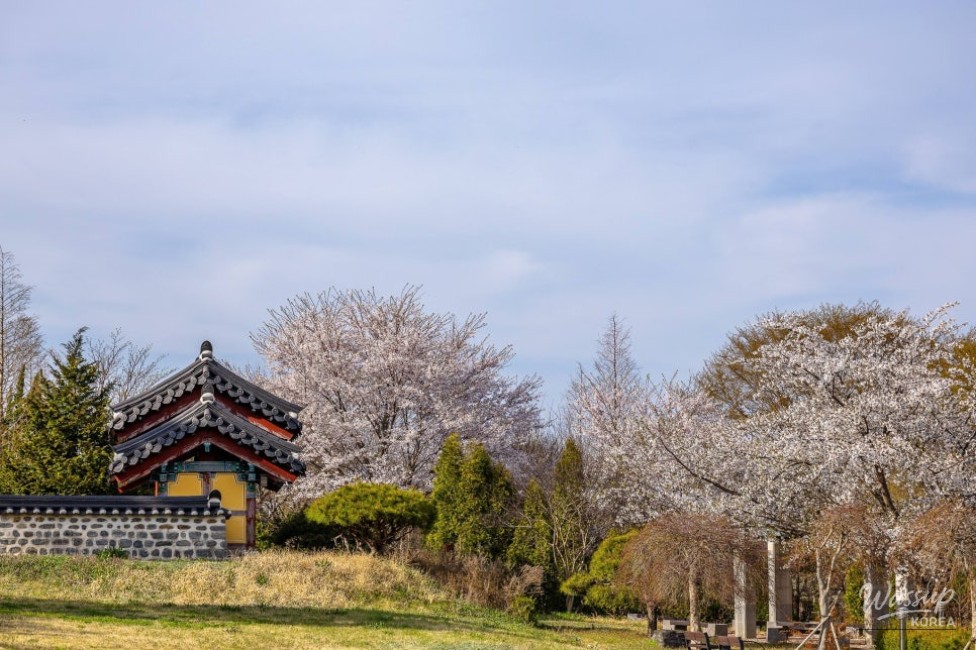 A Night Under the Stars_05