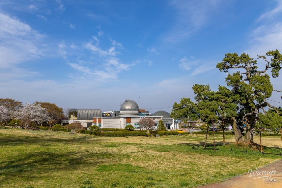 A Night Under the Stars_10