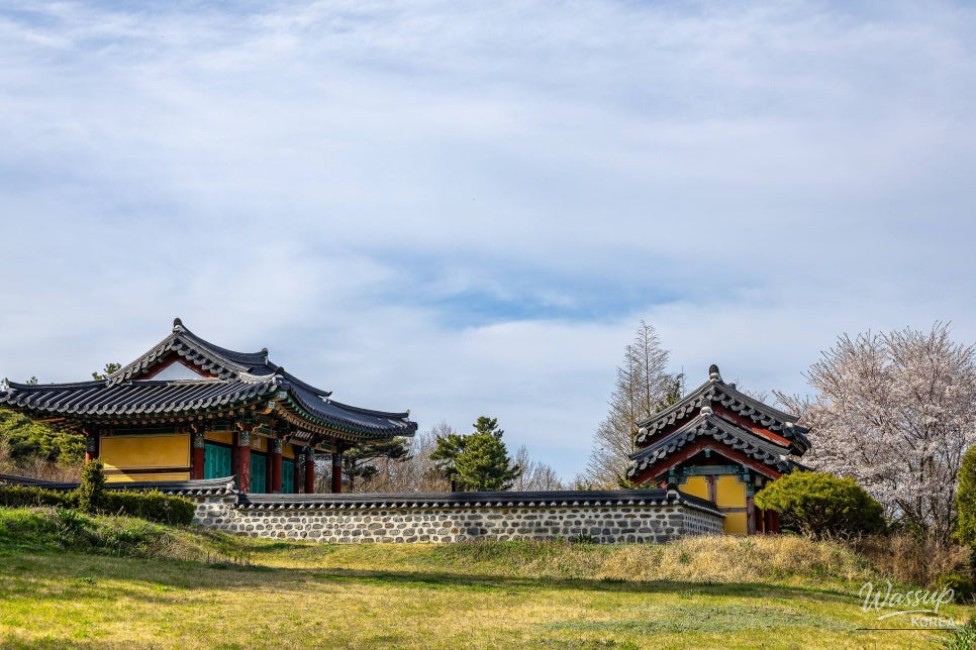 A Night Under the Stars_08