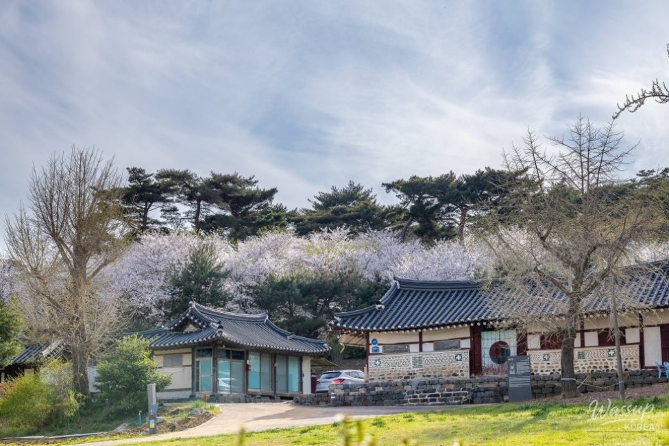 A Night Under the Stars_01