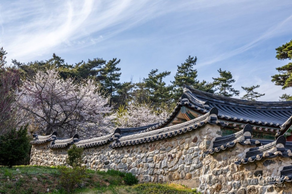 A Night Under the Stars_11